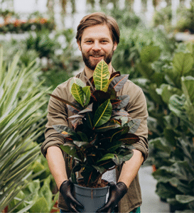 The Price of Progress: Decoding the Global Carbon Markets